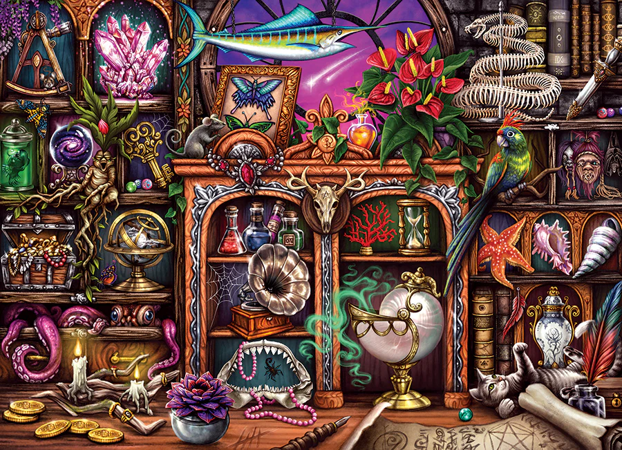 Cabinet of Curiosities | 500 piece - Image 2