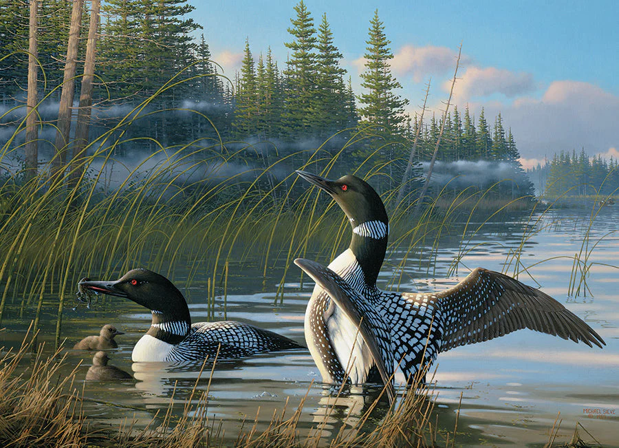 Common Loons | 1000 Piece - Image 2