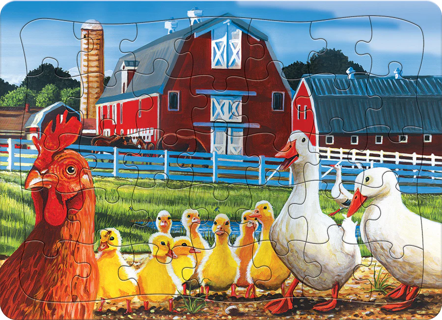 Dwight's Ducks (tray) | 35 Piece Tray