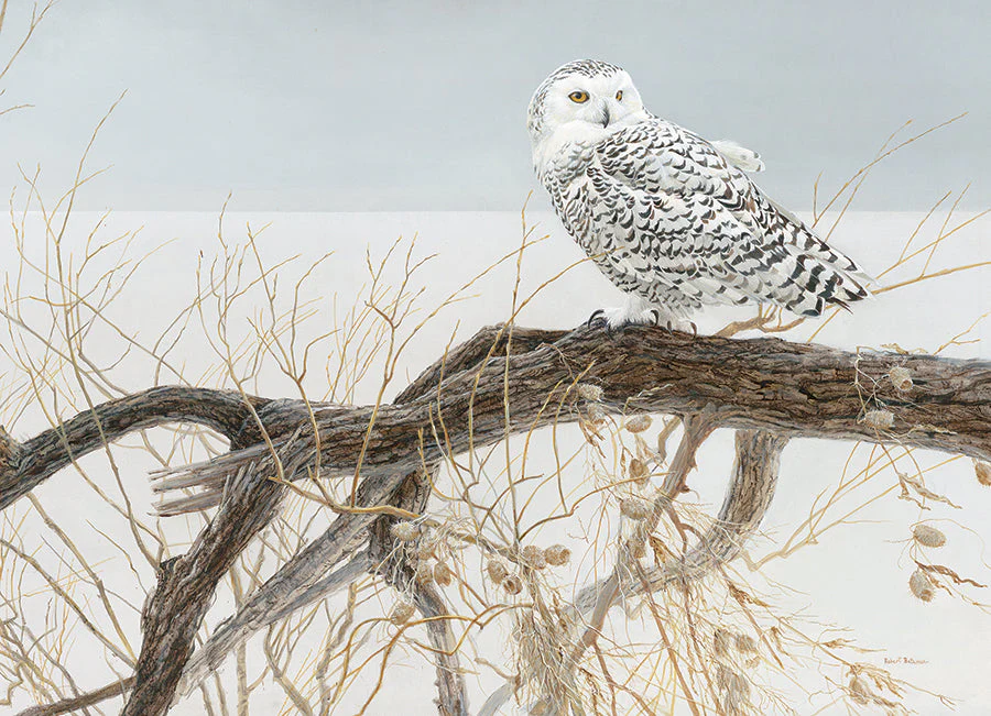 Fallen Willow - Snowy Owl | 500 piece - Image 2