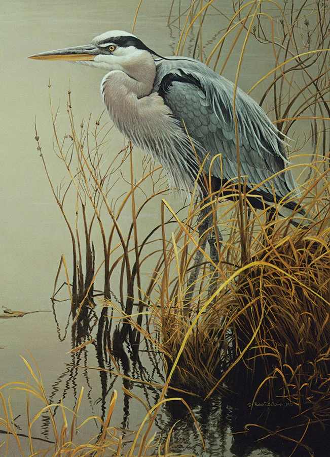 Great Blue Heron | 500 piece - Image 2