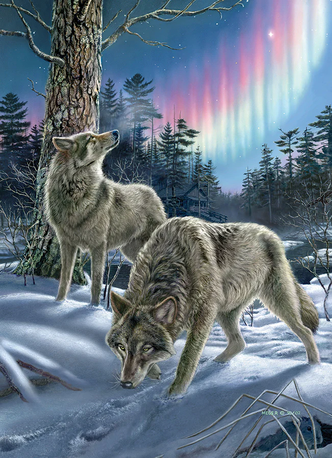 Northern Lights | 500 piece - Image 2
